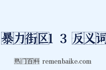暴力街区13反义词是什么意思的图片